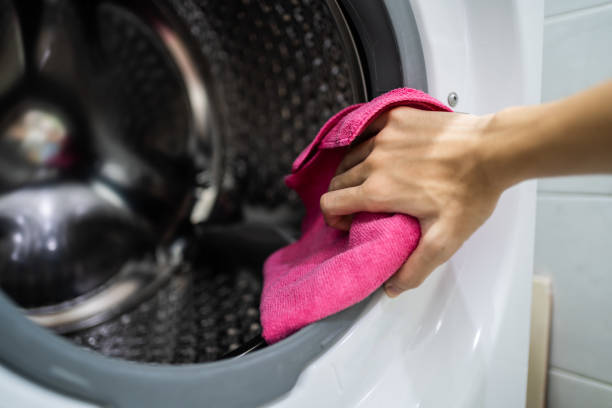 Trusted Fort Mill, SC Mold Removal Experts