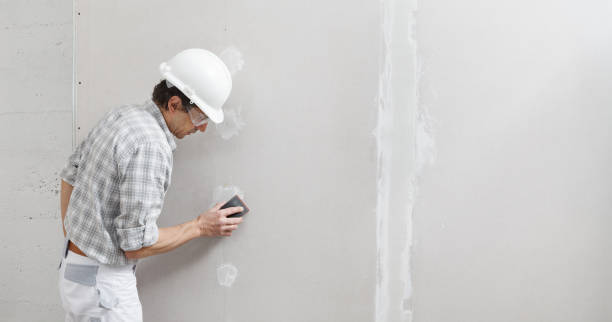 Best Mold Removal for HVAC Installations  in Fort Mill, SC