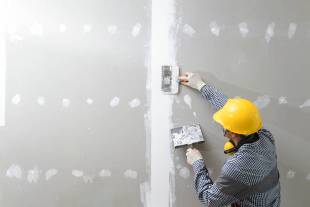 Fort Mill, SC Mold Removal Company