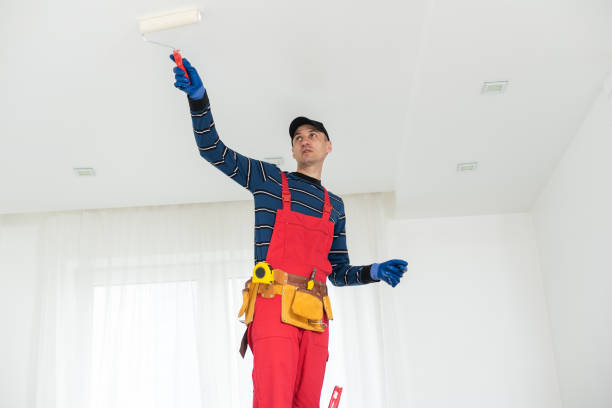 Best Mold Odor Removal Services  in Fort Mill, SC