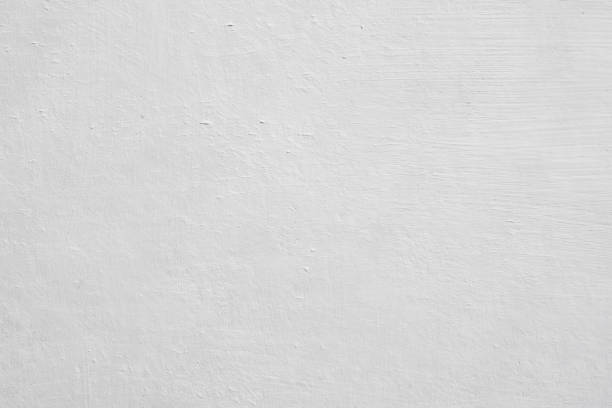 Best Environmental Consulting for Mold Prevention  in Fort Mill, SC