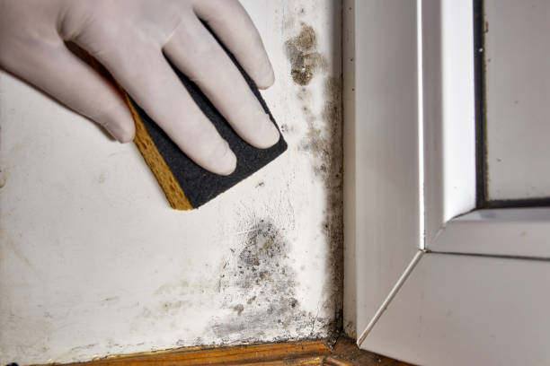 Best Air Quality Testing for Mold Spores  in Fort Mill, SC