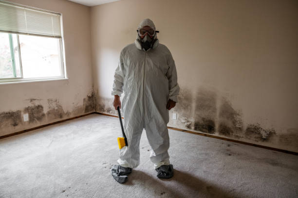 Best Mold Damage Restoration  in Fort Mill, SC