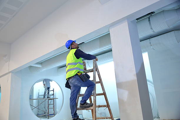 Best Commercial Mold Inspection  in Fort Mill, SC